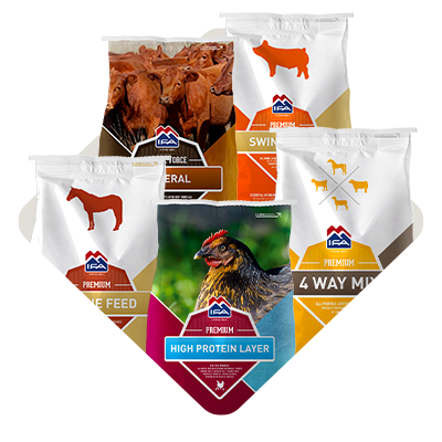 Category_CurrentPromos_FeedoftheWeek2