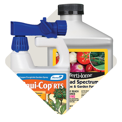 Garden Disease Control