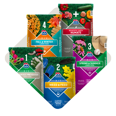IFA 4Plus Lawn Care Fertilizers
