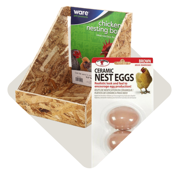 Chicken Coop Accessories