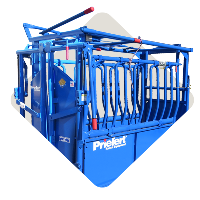 A blue livestock chute.