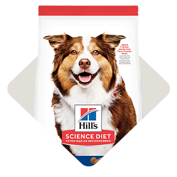 Dog Food