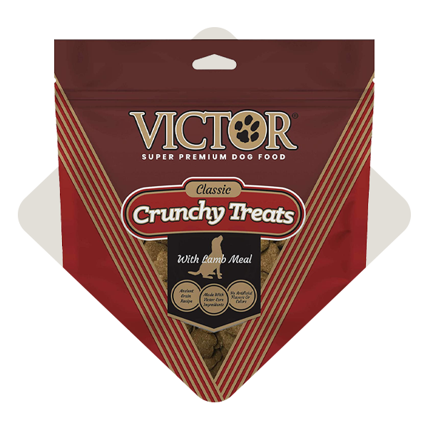 Dog Treats