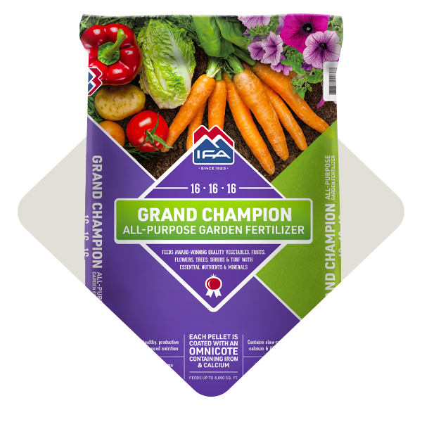IFA Grand Champion All-Purpose Garden Fertilizer dry granules.
