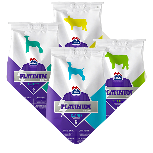 Category_Level3_Show-Feeds_v3