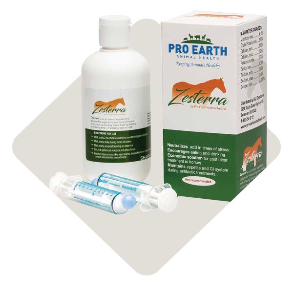 Category_Level3_Supplements