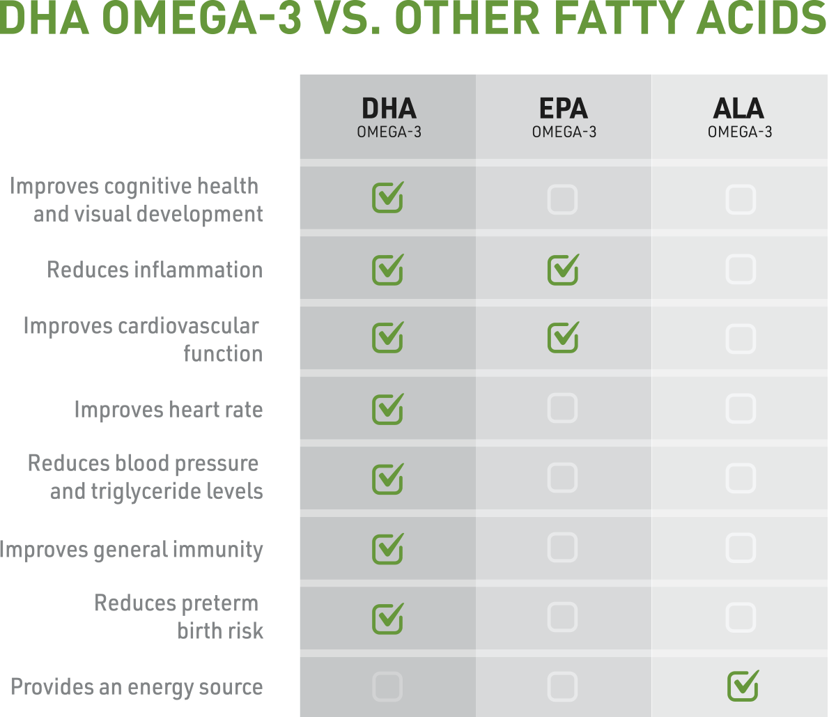 DHA-Omega-3-VS-Other-Fatty-Acids