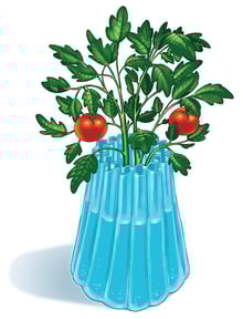 Dalen_SeasonStarter_PlantProtector_3pk_4636_webimg5b