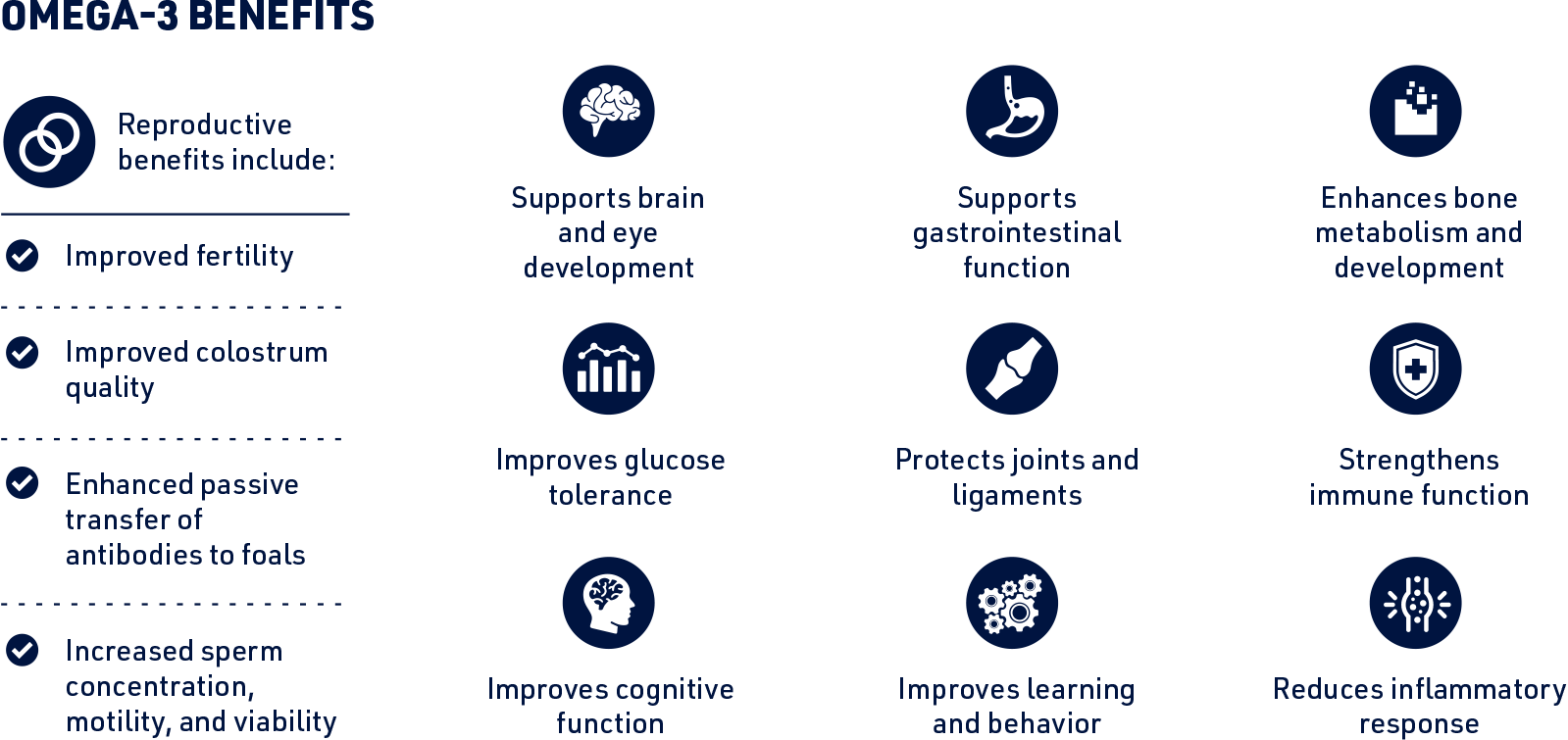 Equine-DHA-Omega-3-Benefits