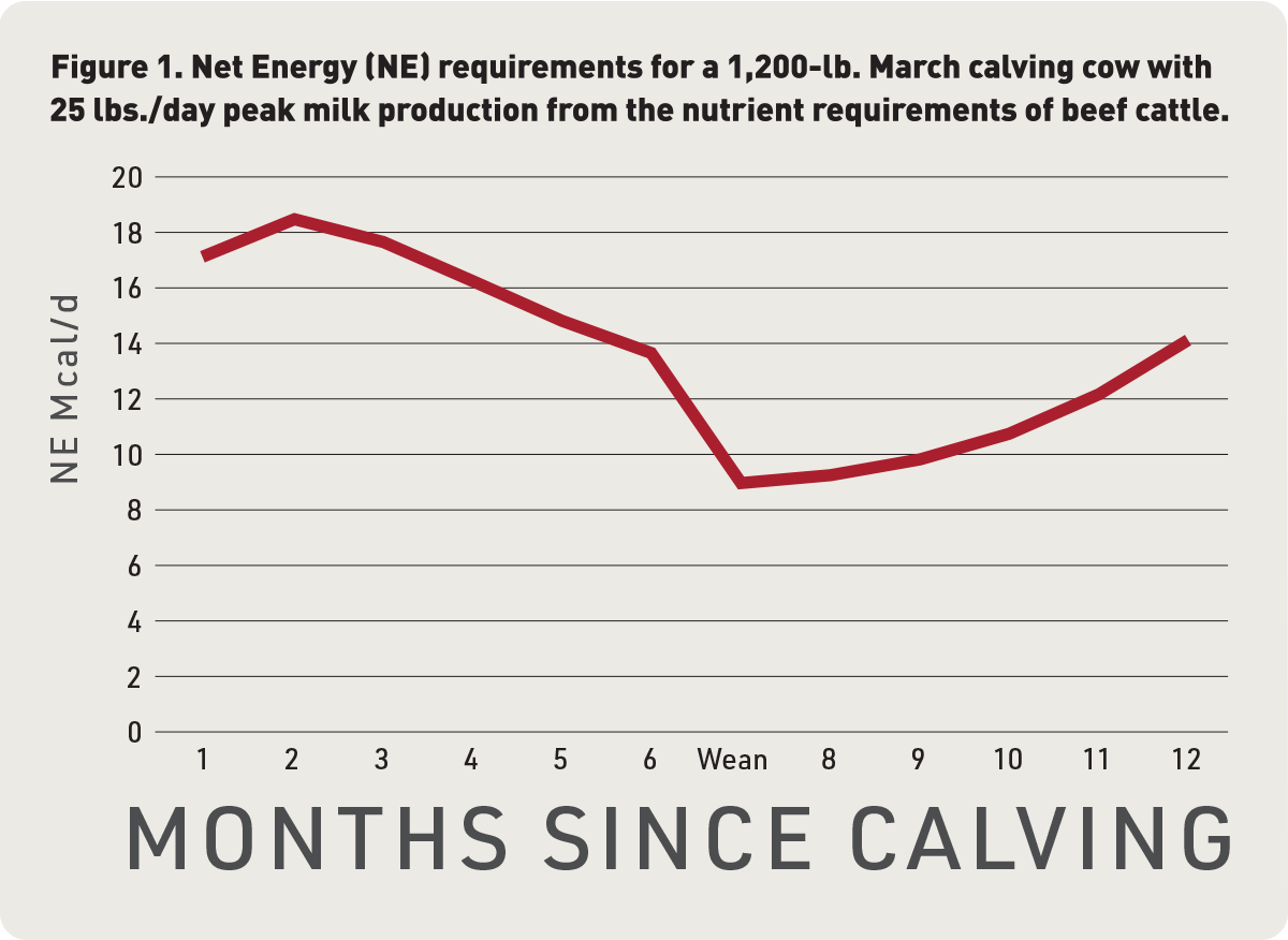 Figure1_Calving_webimg2