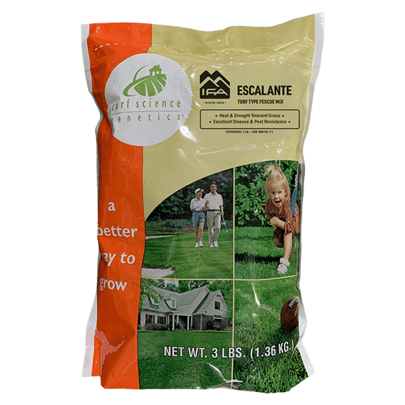 Overseeding Your Lawn, A Guide for Utah Grasses | IFA Blog