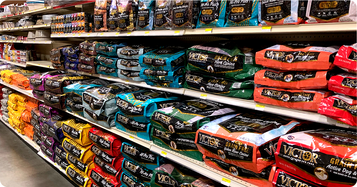IFA_Blog_A Guide to Choosing the Right Dog Food2-1