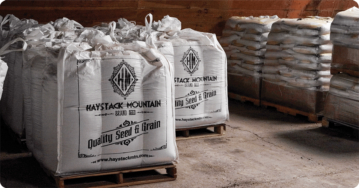 IFA_Blog_A Guide to Successful Fall and Winter Forage2