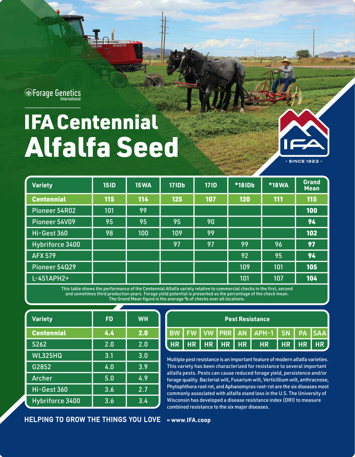 IFA_Blog_Alfalfa Seed Selection4 copy