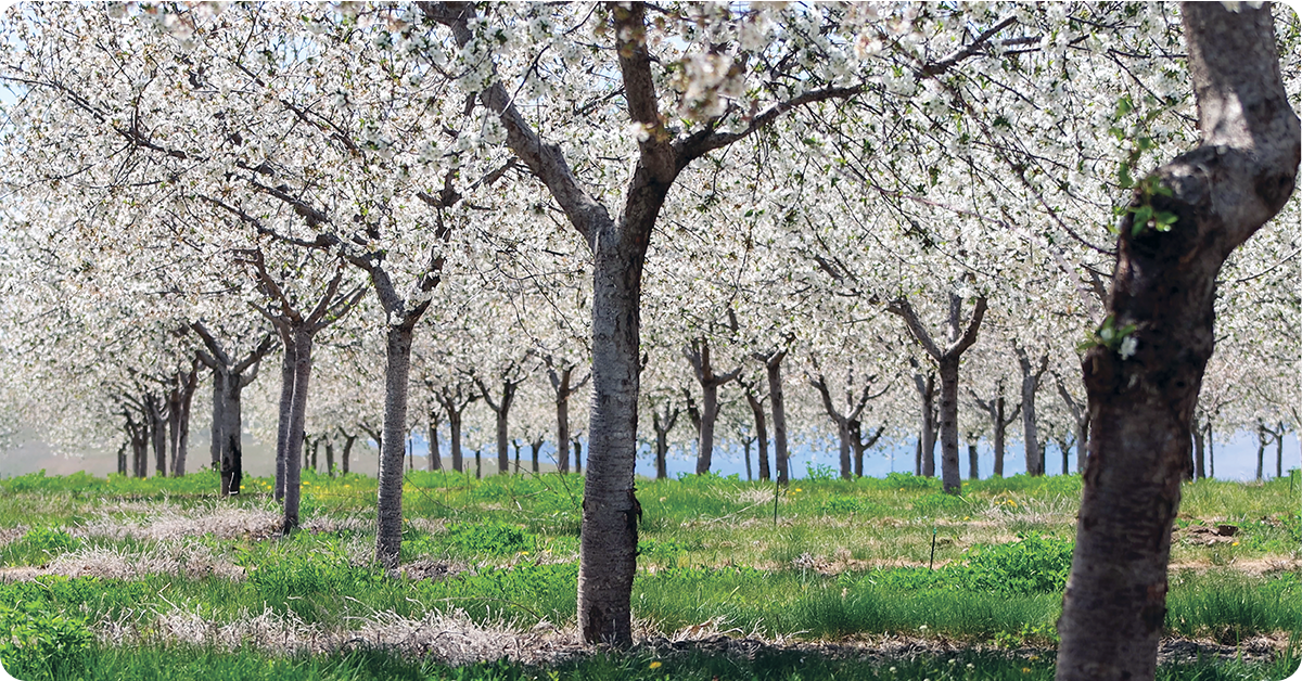 ruit-farming-IFA-Utah-1