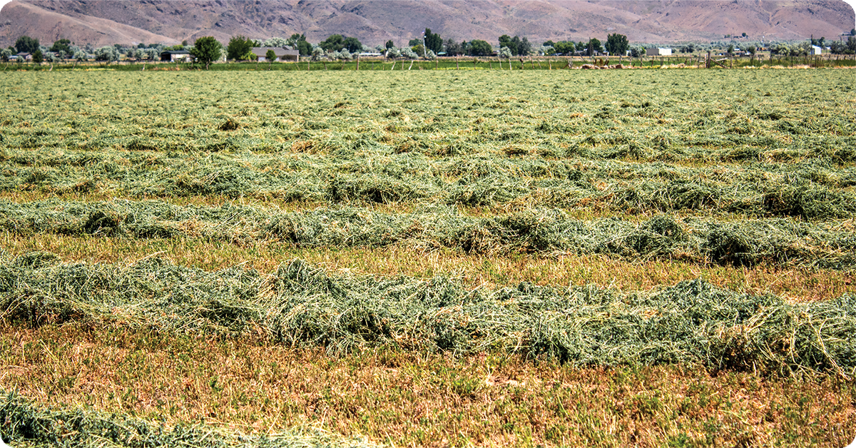 IFA_Blog_Champions of Agriculture- Garn and Caryl2