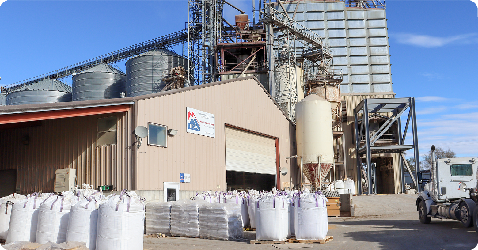 IFA_Blog_Dairy Farmer to Livestock Feed Nutritionist9