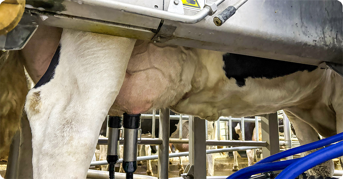 IFA_Blog_FThe Science of Success - How Dr. Laun Hall is Helping IFA Producers29
