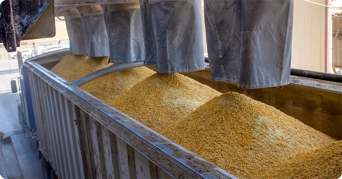 IFA_Blog_FThe Science of Success - How Dr. Laun Hall is Helping IFA Producers37