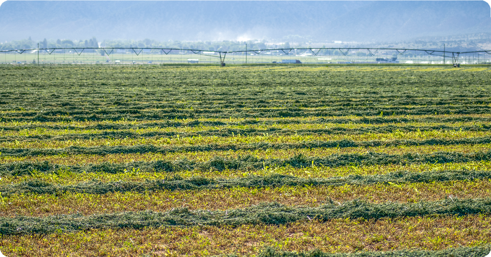 IFA_Blog_Farming in the Intermountain West3