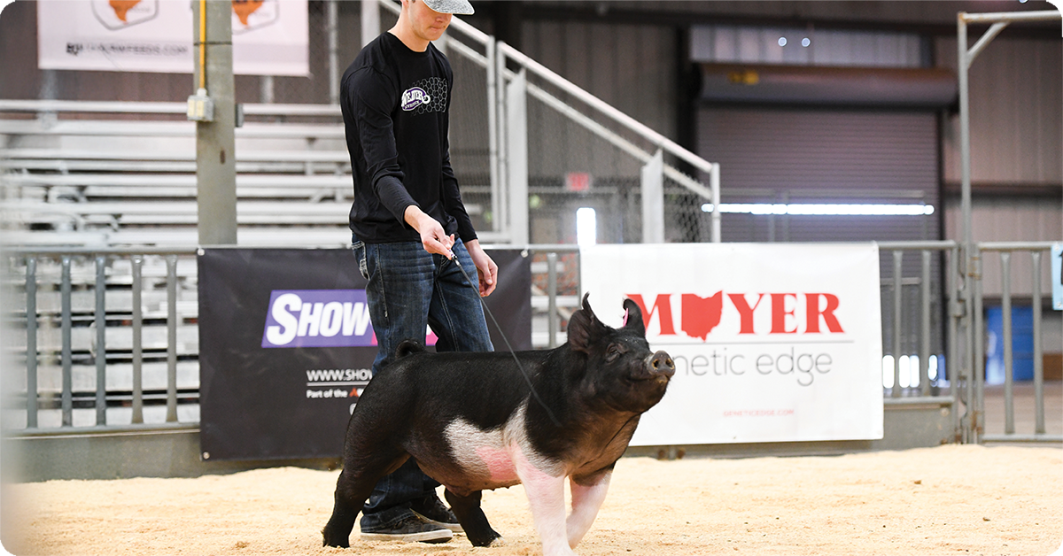 IFA_Blog_Growing Champions- Weaver Livestock Products and Clinics1