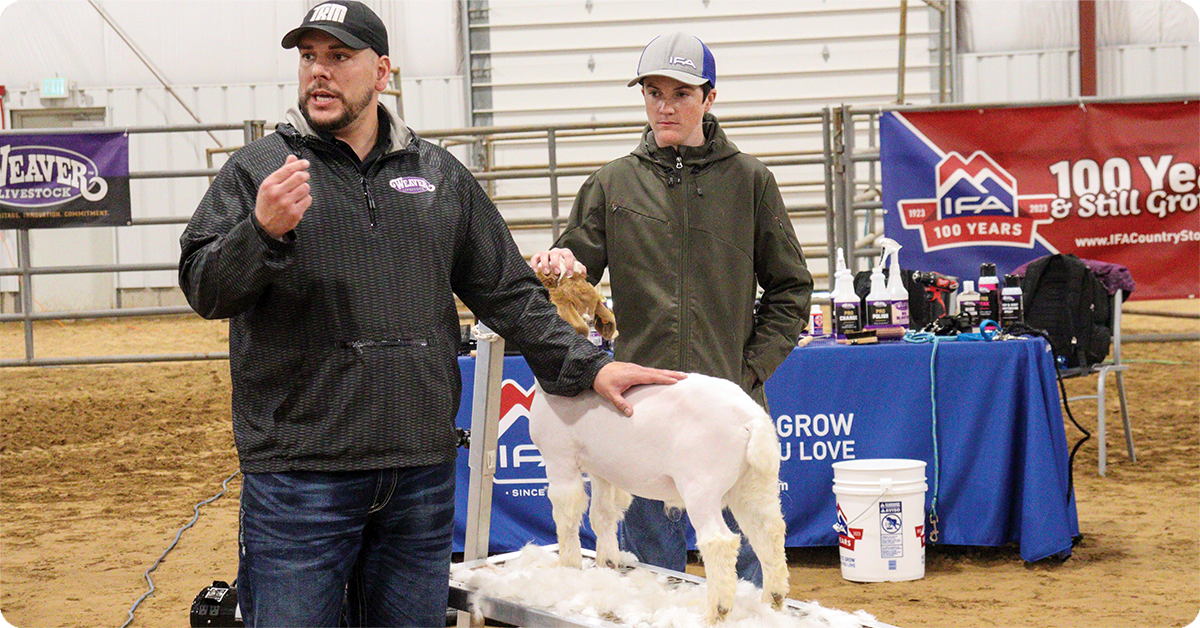 IFA_Blog_Growing Champions- Weaver Livestock Products and Clinics17
