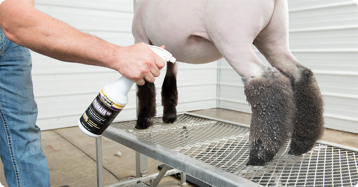 IFA_Blog_Growing Champions- Weaver Livestock Products and Clinics23