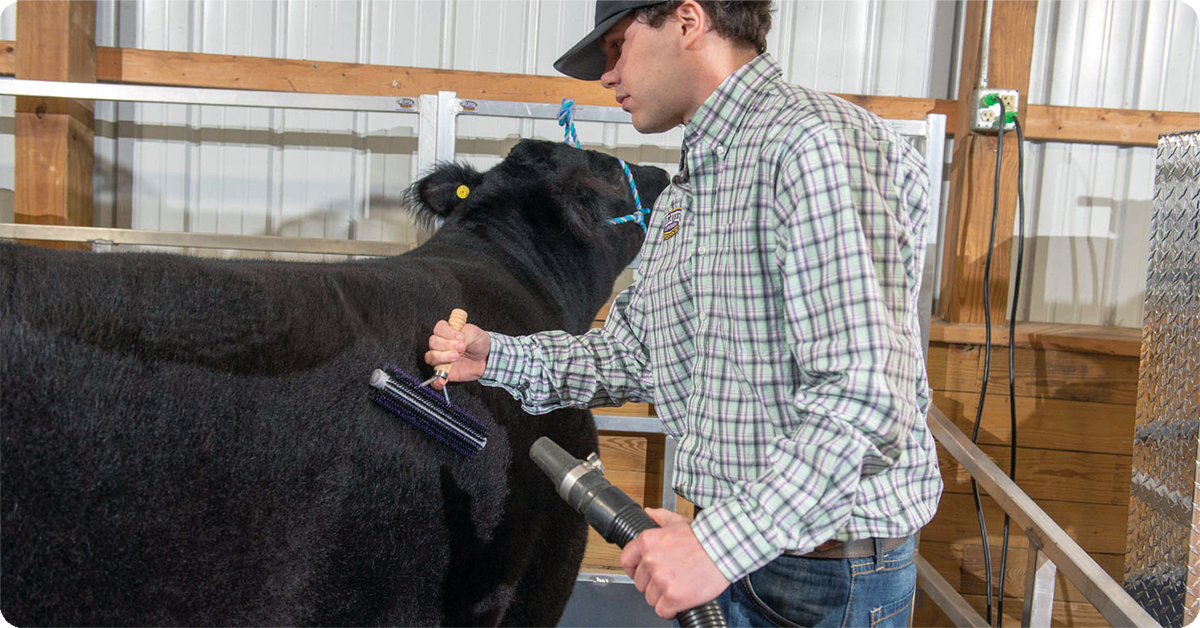 IFA_Blog_Growing Champions- Weaver Livestock Products and Clinics7