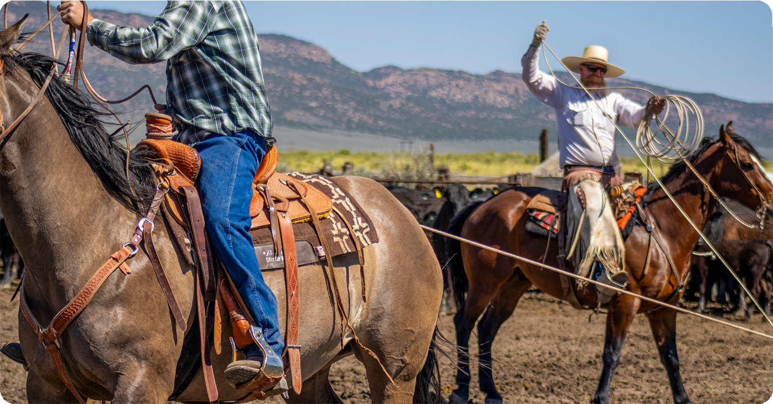 IFA_Blog_Growing Western Heritage on the Stowell Family Ranch Feature13