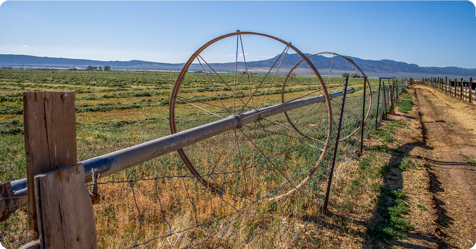 IFA_Blog_Growing Western Heritage on the Stowell Family Ranch Feature3