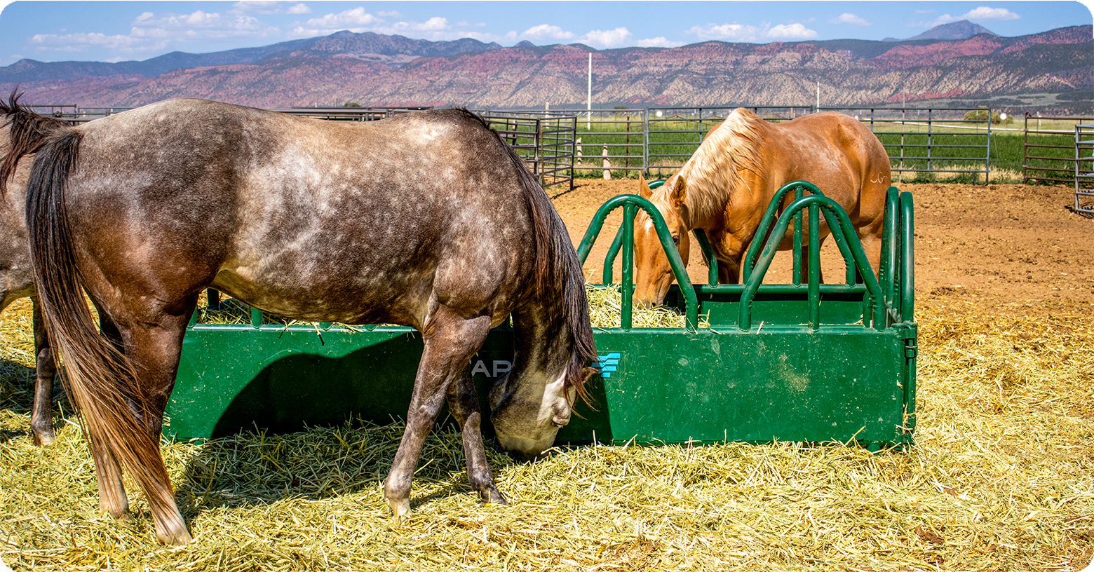 IFA_Blog_Growing Western Heritage on the Stowell Family Ranch Feature42