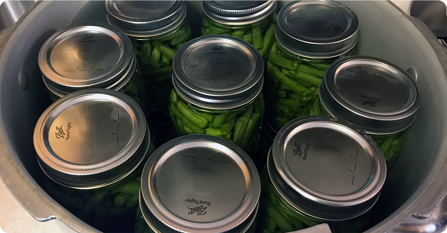 Garden-Food-Preservatio‌n-Canning-Green-Beans