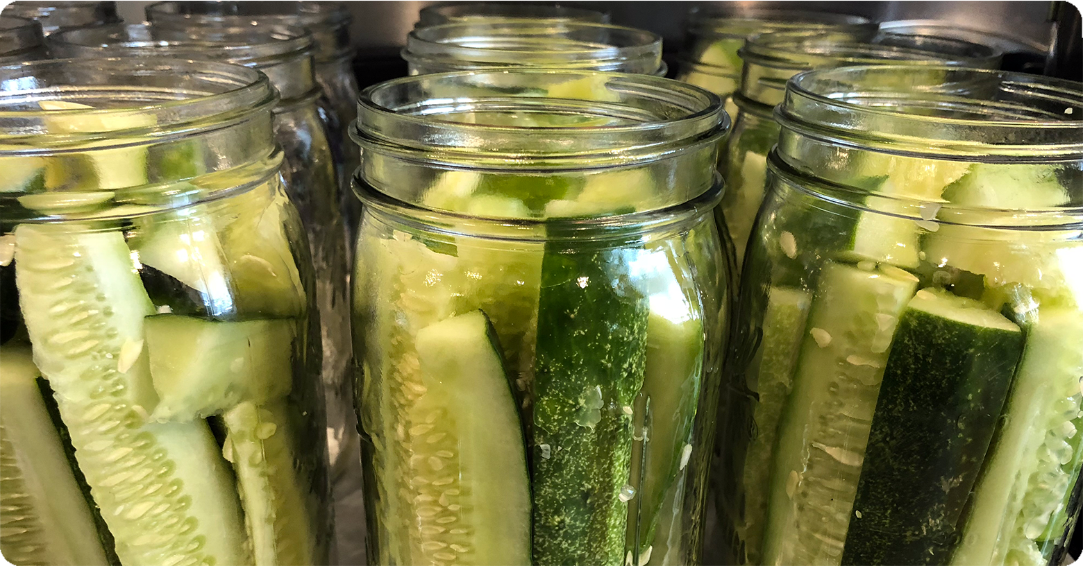 Garden-Food-Preservatio‌n-Pickles