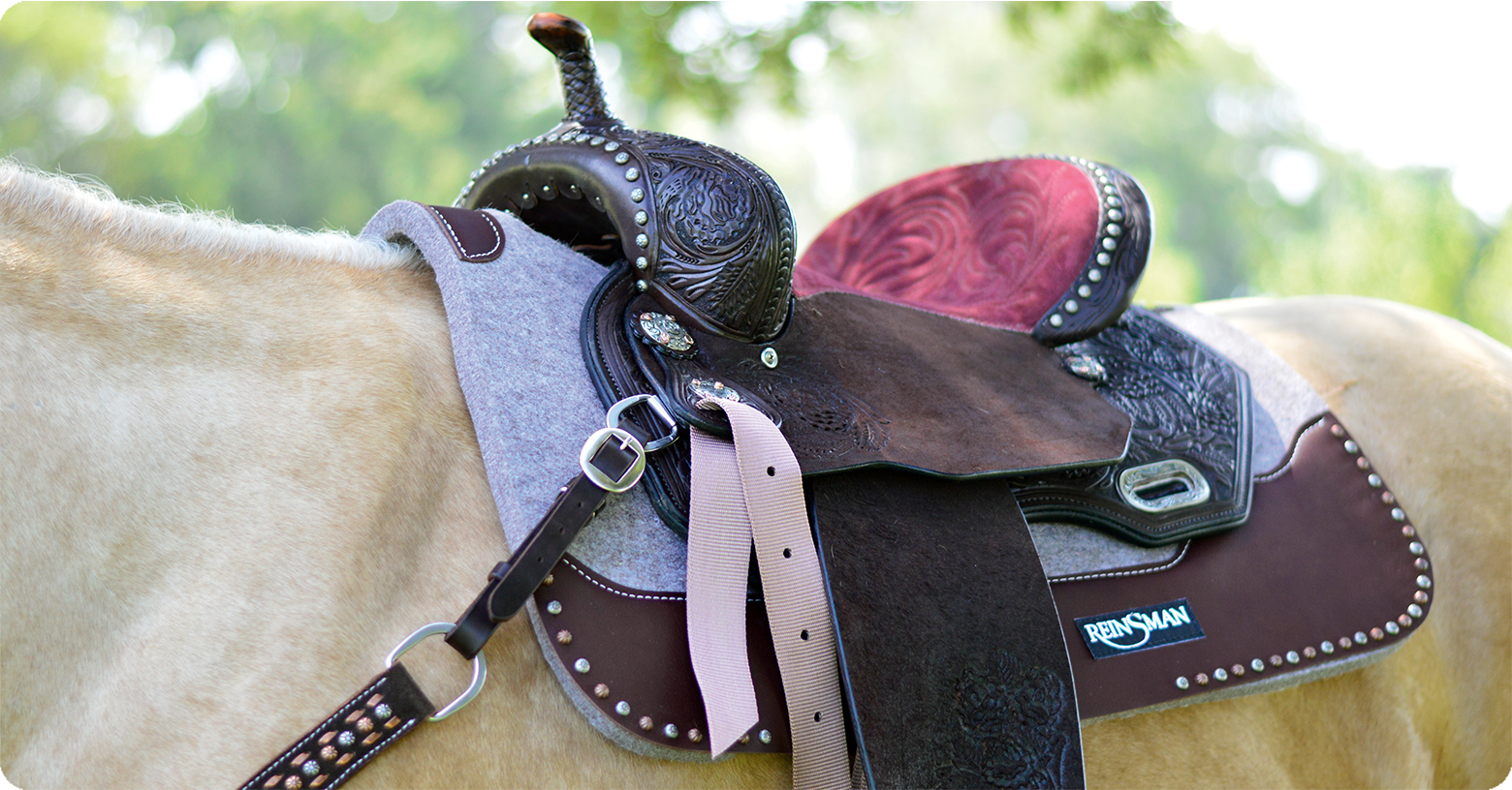 Western - Éperons & accessoires – Sellerie Eleganza
