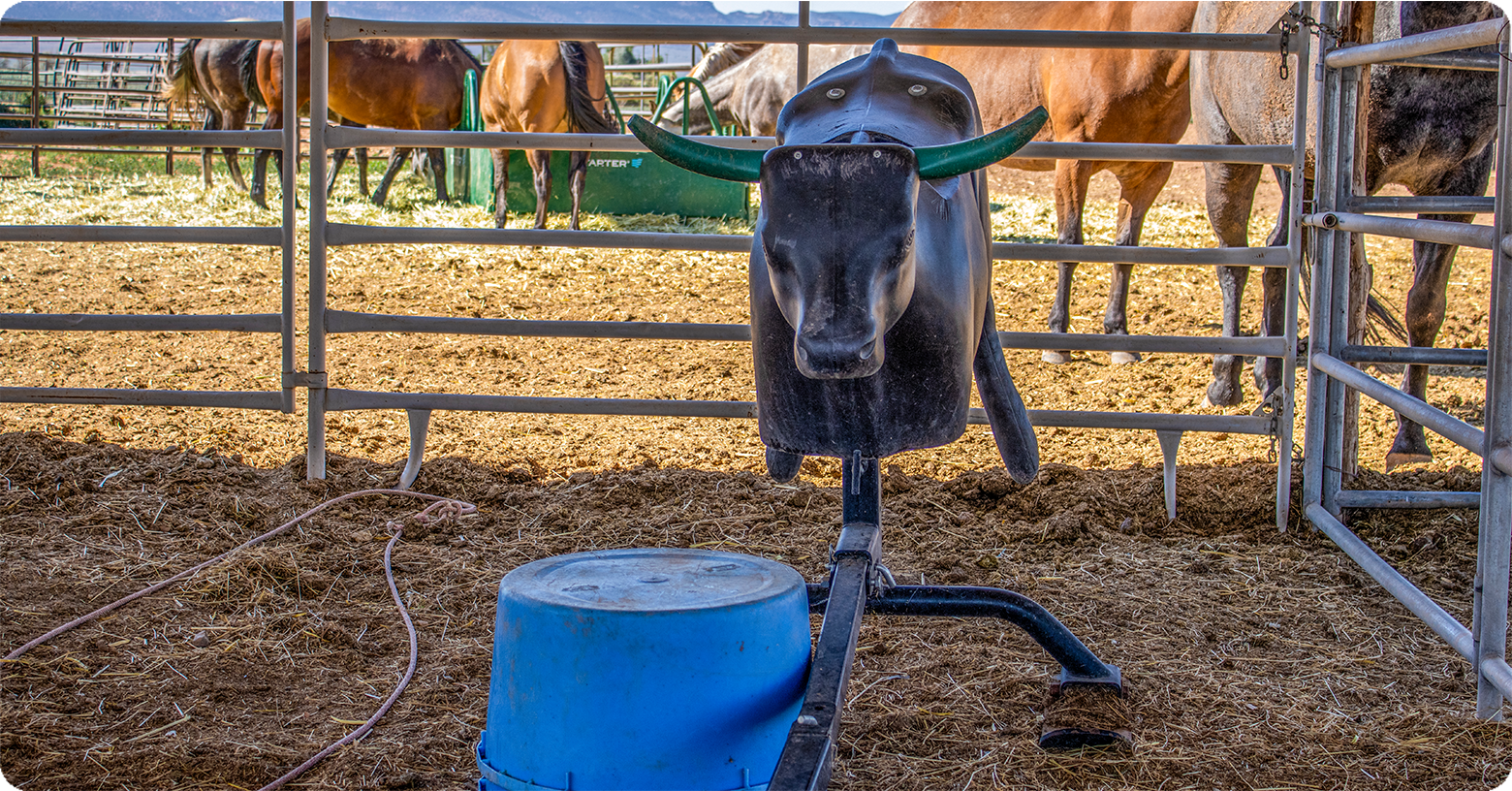 horse-tack-equine-sports-training-tools-roping-dummies-and-training-aids