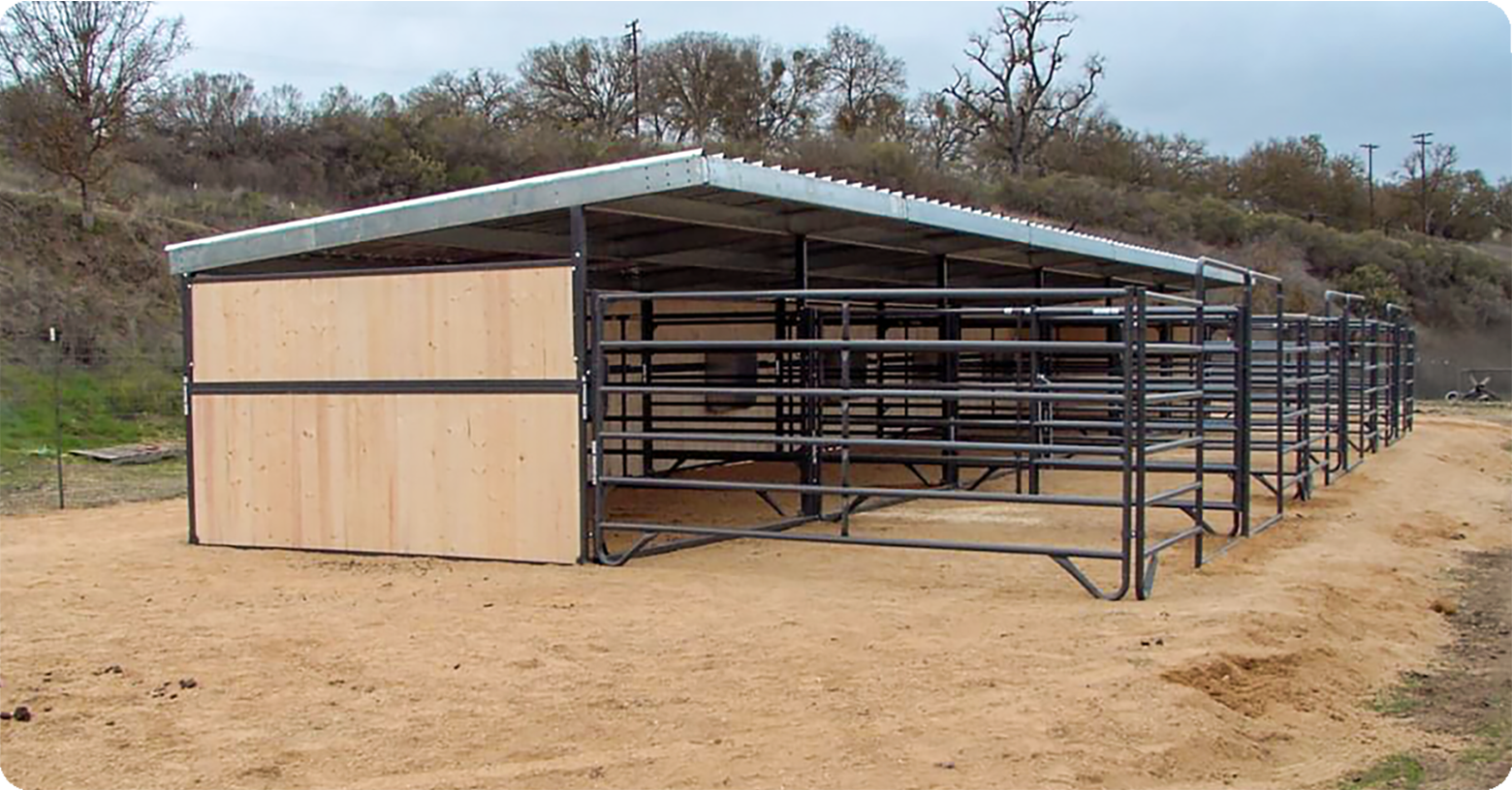 IFA_Blog_IFAs Guide to Livestock Shelters2