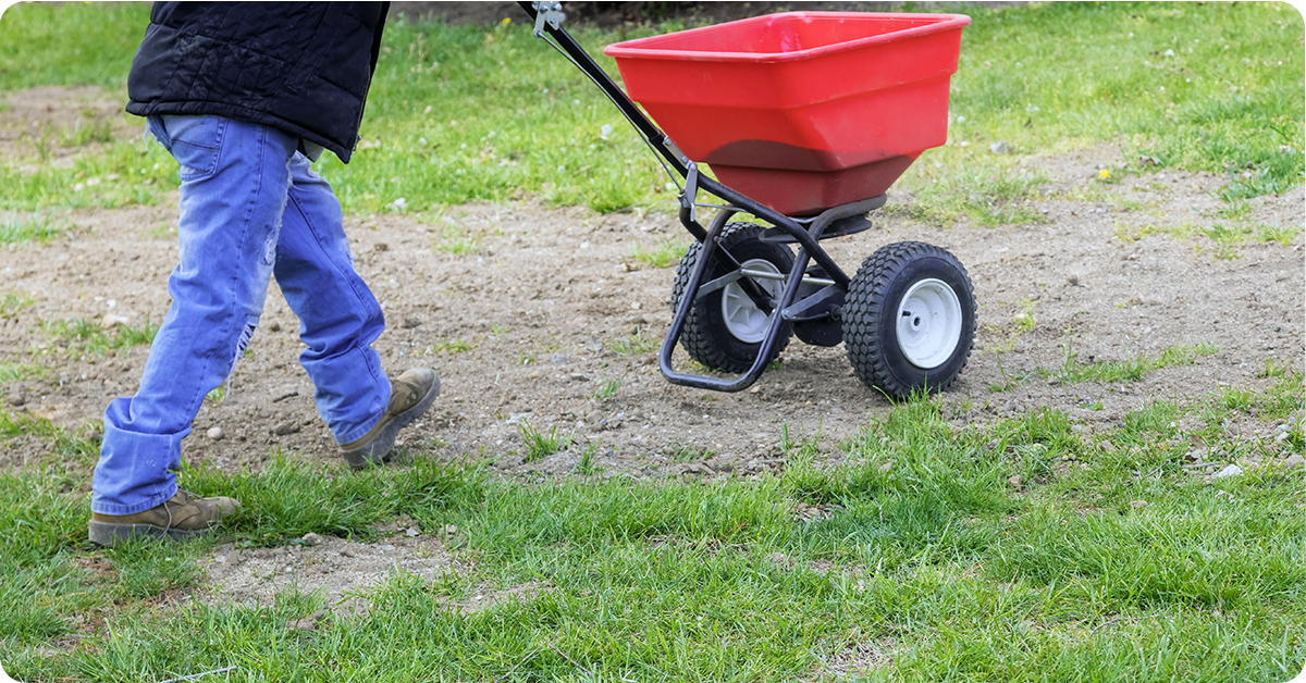 IFA_Blog_Overseeding Your Lawn for Rejuvenating Fall GrowthOverseeding Your Lawn for Rejuvenating Fall Growth‌‌ - Article Images4