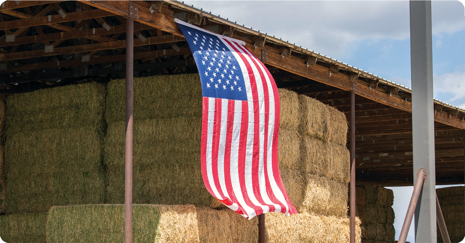 IFA_Blog_The Cream of the Crop- A Look Inside Utah’s Cream Pitcher Dairy8