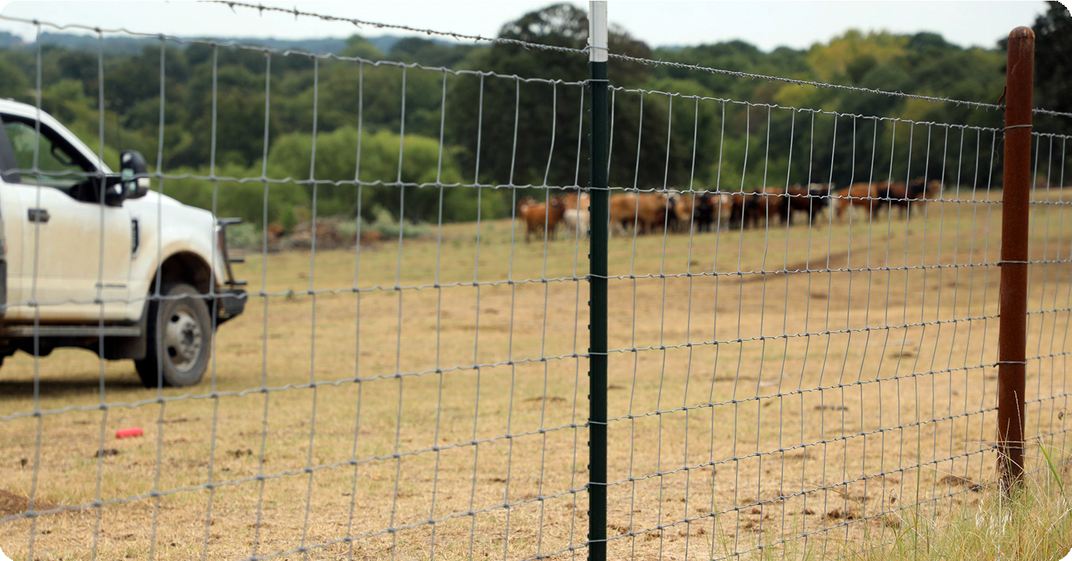 IFA_Blog_The Evolution of Farm Fencing in the Intermountain West5