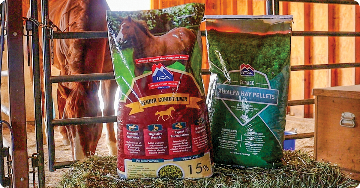 IFA_Blog_The Feed Label- A Closer Look4