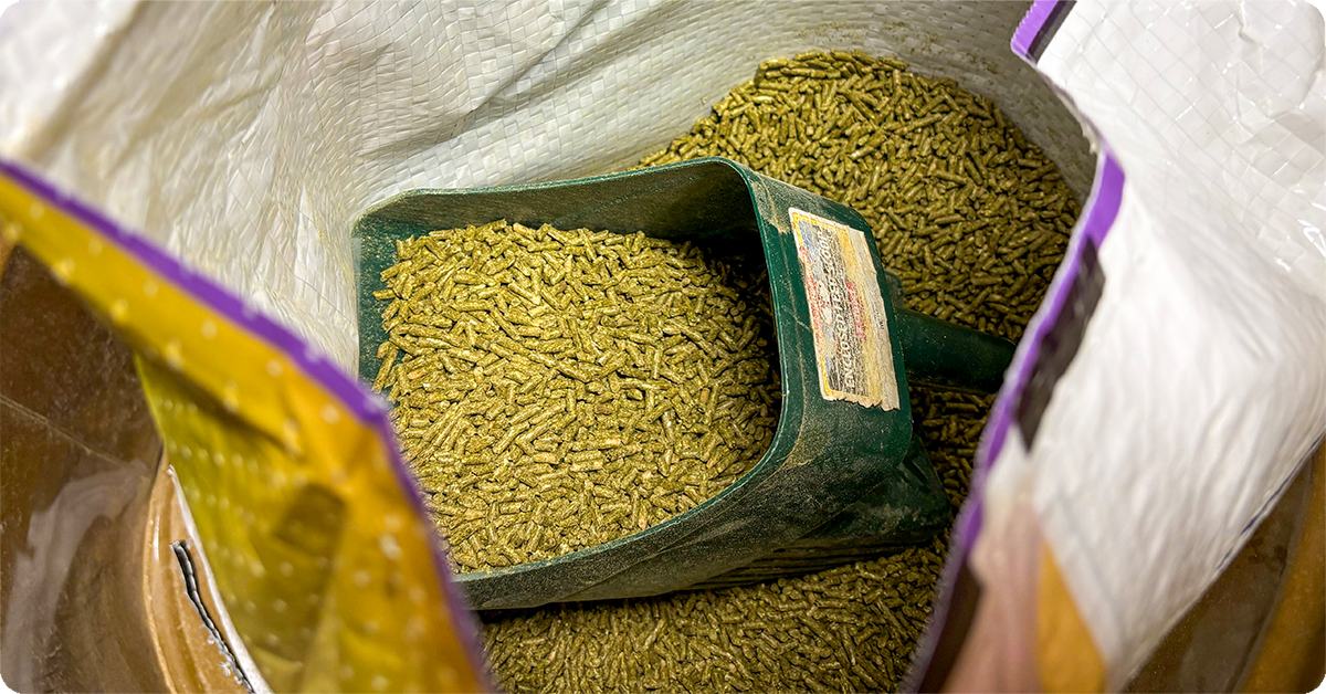 IFA_Blog_The Ultimate guide to Livestock and Pet Feed Storage4