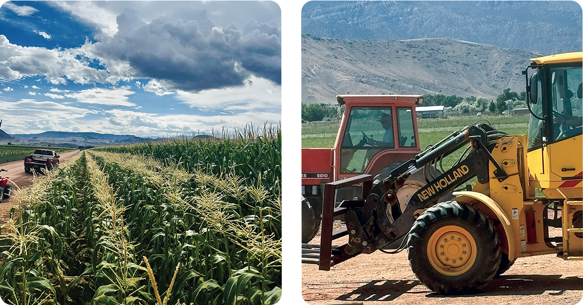 IFA_Blog_split layout_IFA_Blog_Champions of Agriculture- Garn and Caryl4