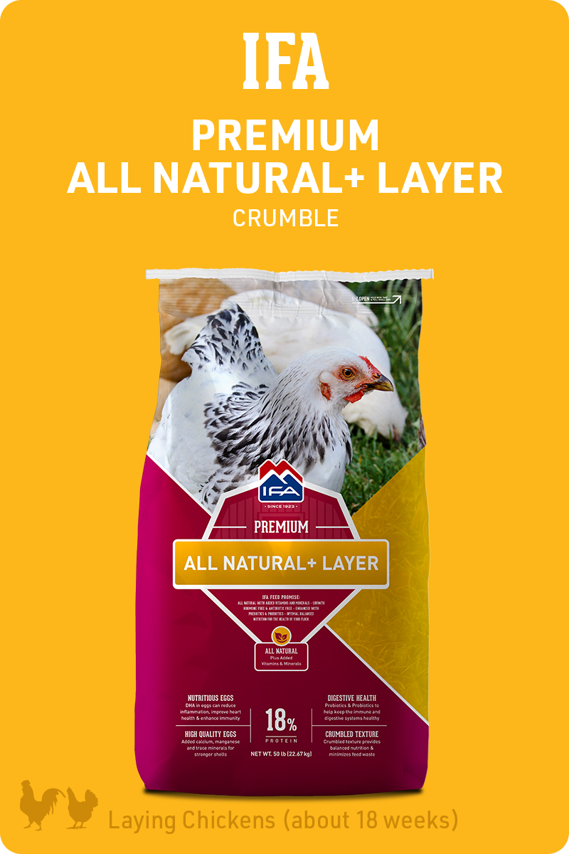 IFA_PoultryProgram_All-Natural-Plus-Layer_Feed_img1