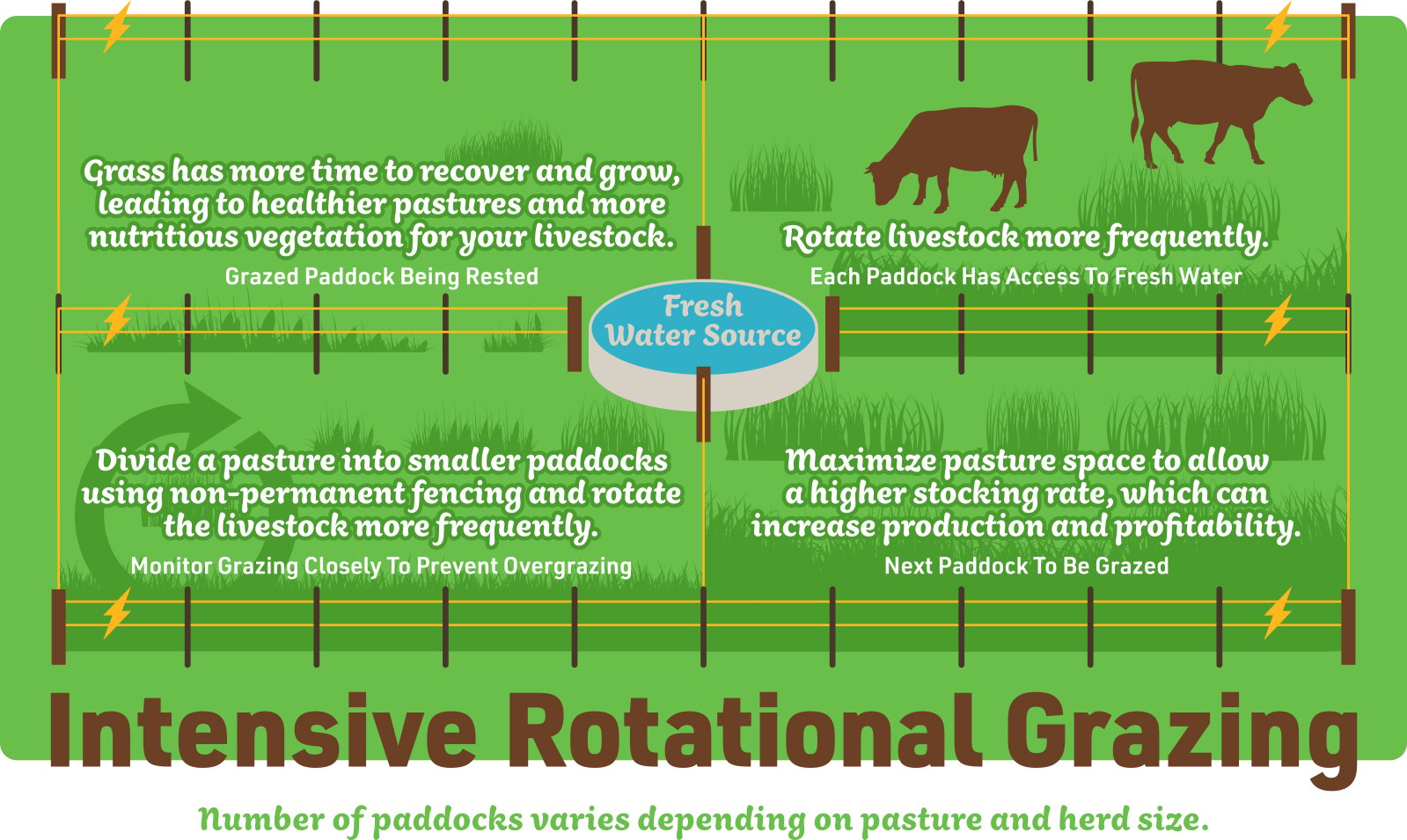 Rotational Grazing For Livestock IFA s Helping To Grow Blog Rotational Grazing For Livestock IFA s Helping To Grow Blog