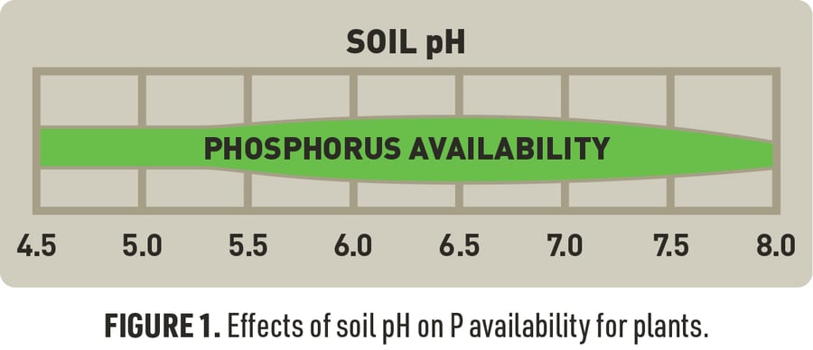 Figure 1: effects of soil pH on phosphorus availability for plants