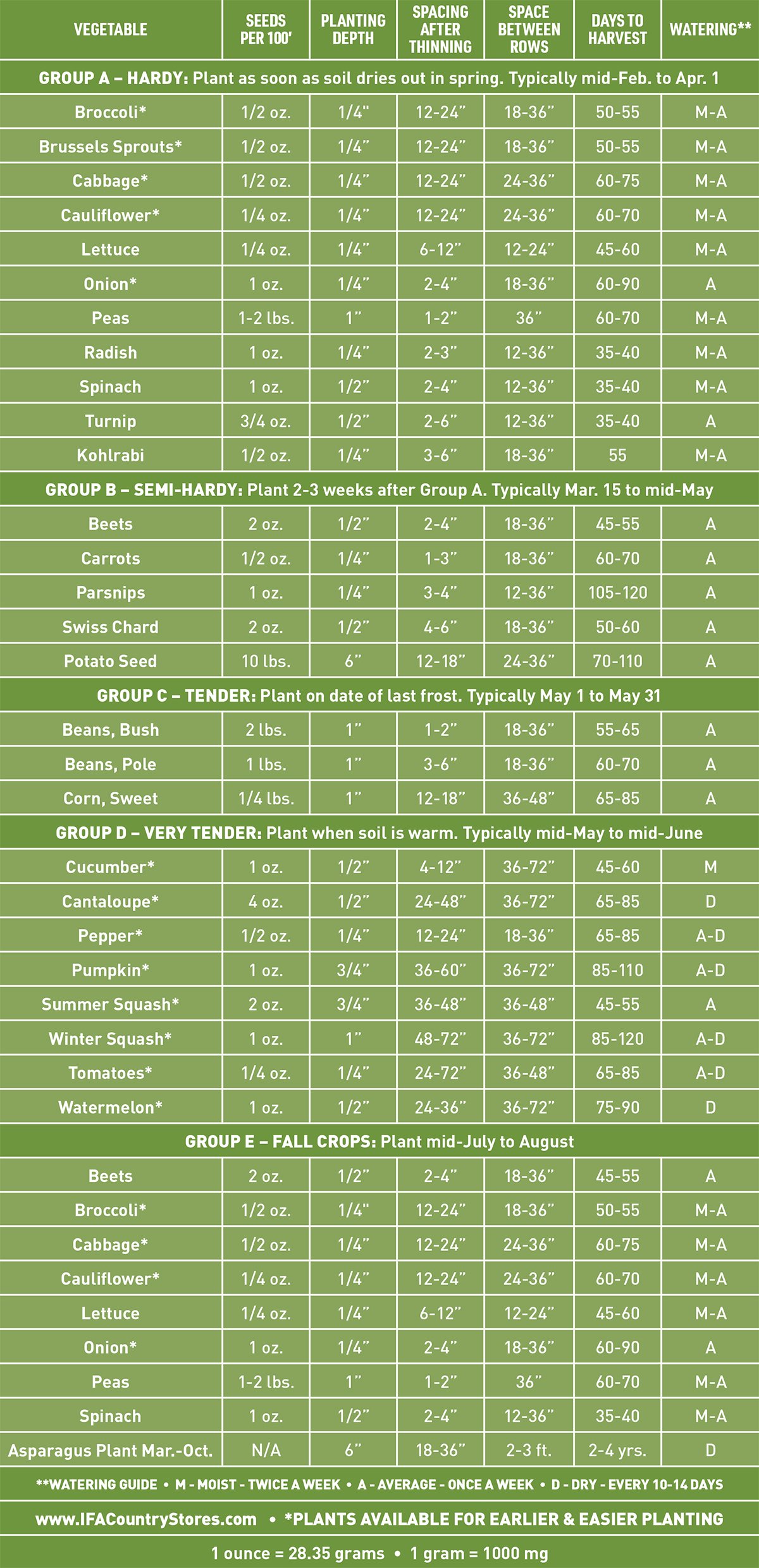 Vegetable planting and care guide infographic