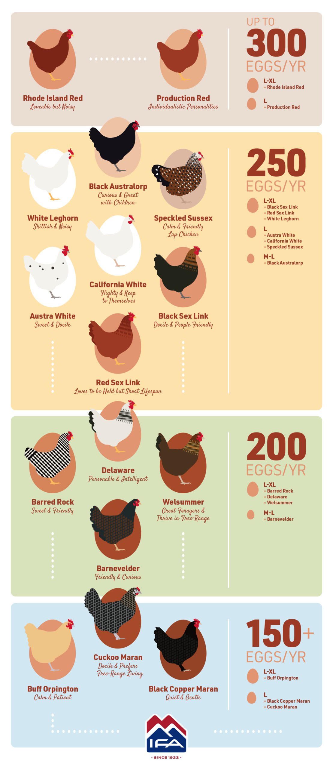 best egg laying chicken infographic