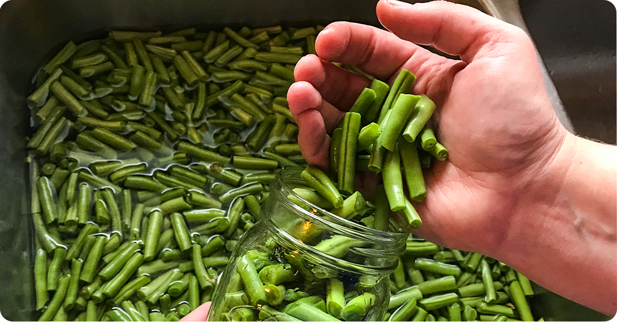 canning green beans