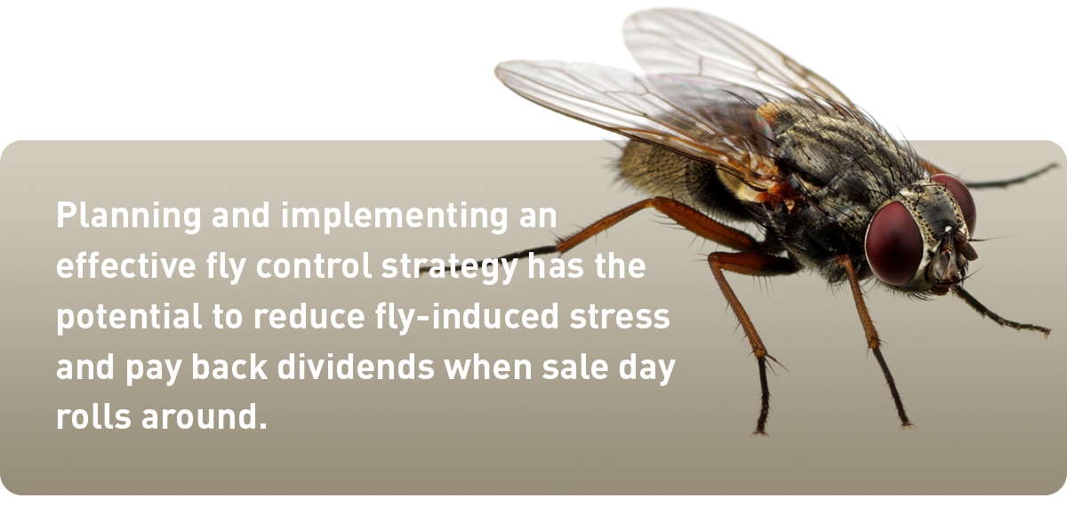 implement effect fly control