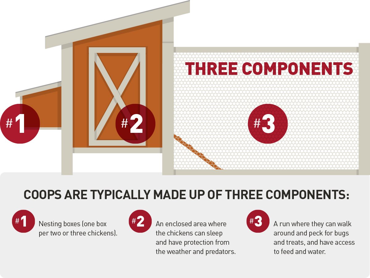 breakdown infographic on the components of a chicken coop